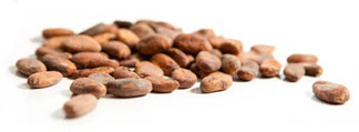 choco_1